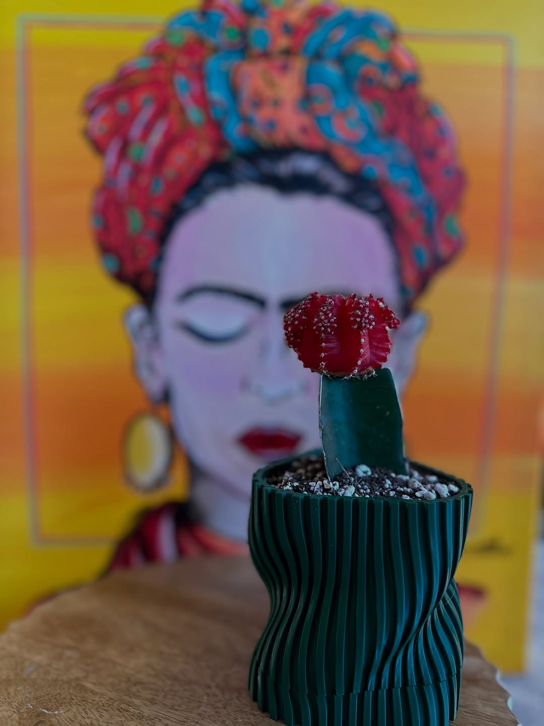 559416885_17896831197323211_6535918381090647632_n